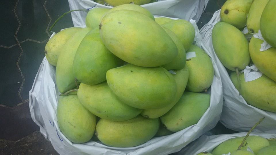 11167697_1627692320778204_238145178580878790_n