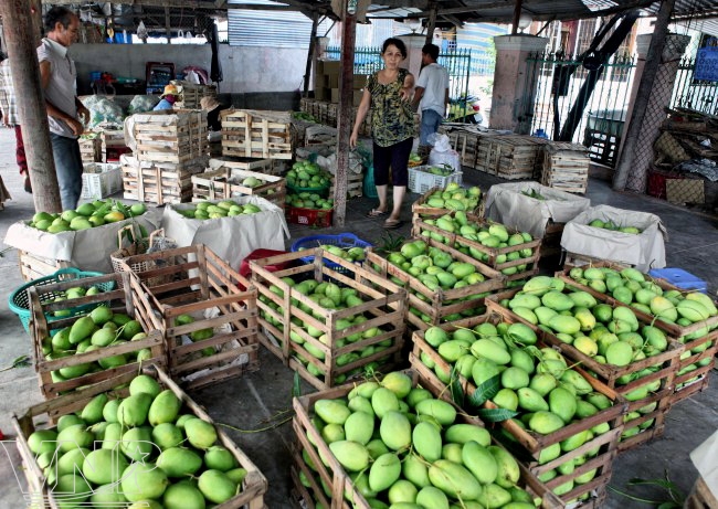 16-8TNDP08BaoAnh16820121681439