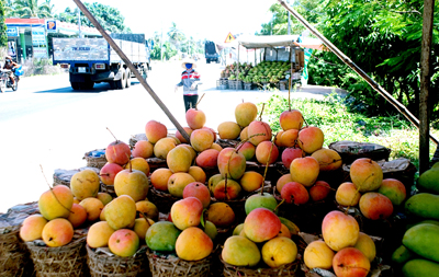 images958609_xo_i__c___d_c_s_n_c_a_Cam_L_m