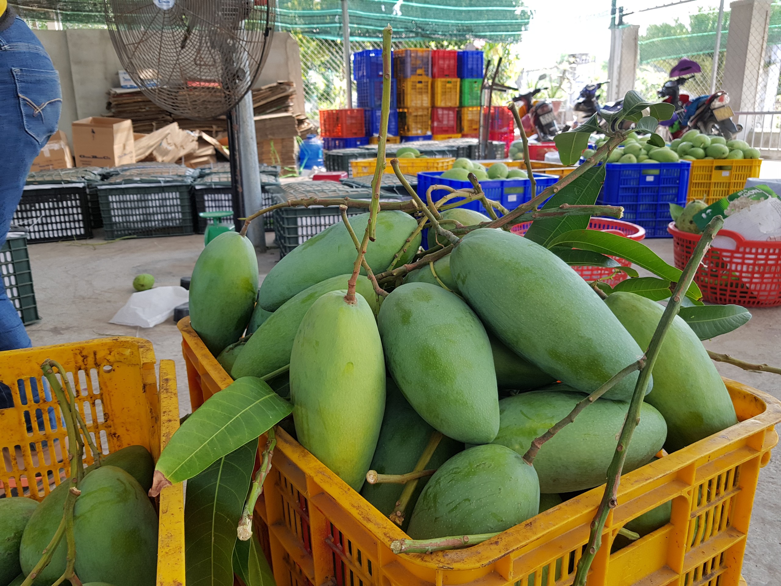 ade84af3e0ef05b15cfe