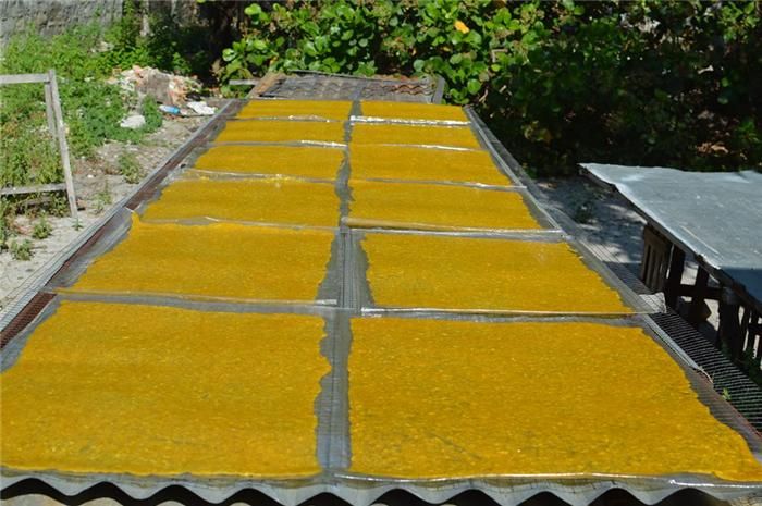 Phơi bánh xoài Cam Lâm