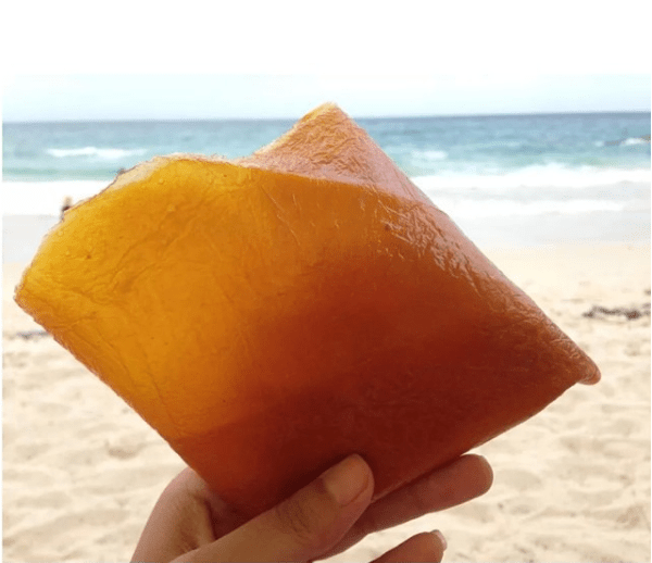 Bánh xoài Cam Lâm