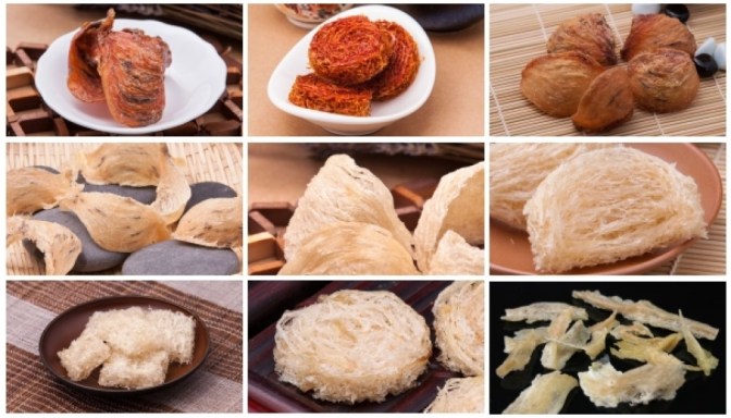 lam-the-nao-de-phan-biet-to-yen-nha-va-to-yen-dao-tu-nhien-4-314pypimjn3to8sdsorsay