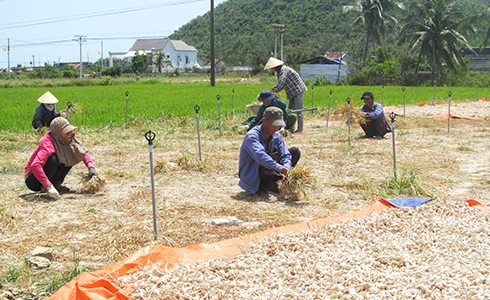 29683463_603286476677333_8174626110768676864_n