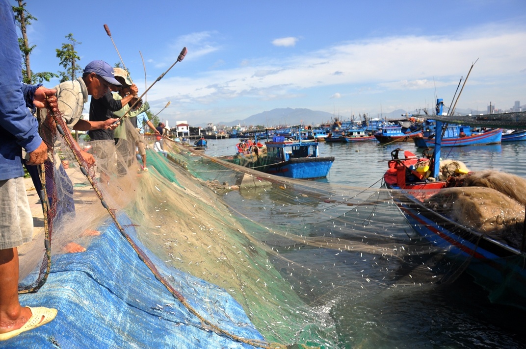 5215_ca_cYm_hon_rY_13