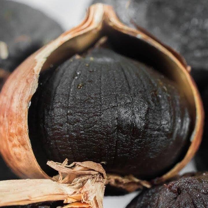 53857797_2595661300475385_997675041200013312_n