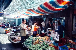 Trái xoài này bự quá nà