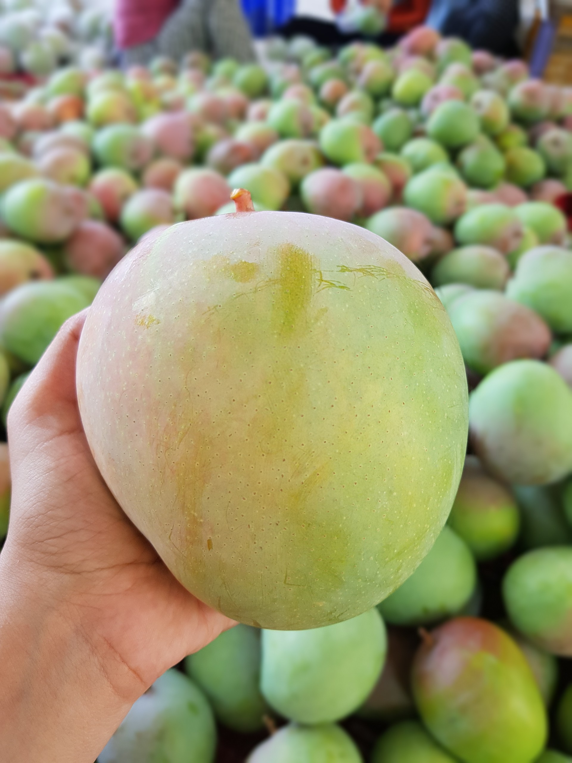 00a3461eed02085c5113 (1)