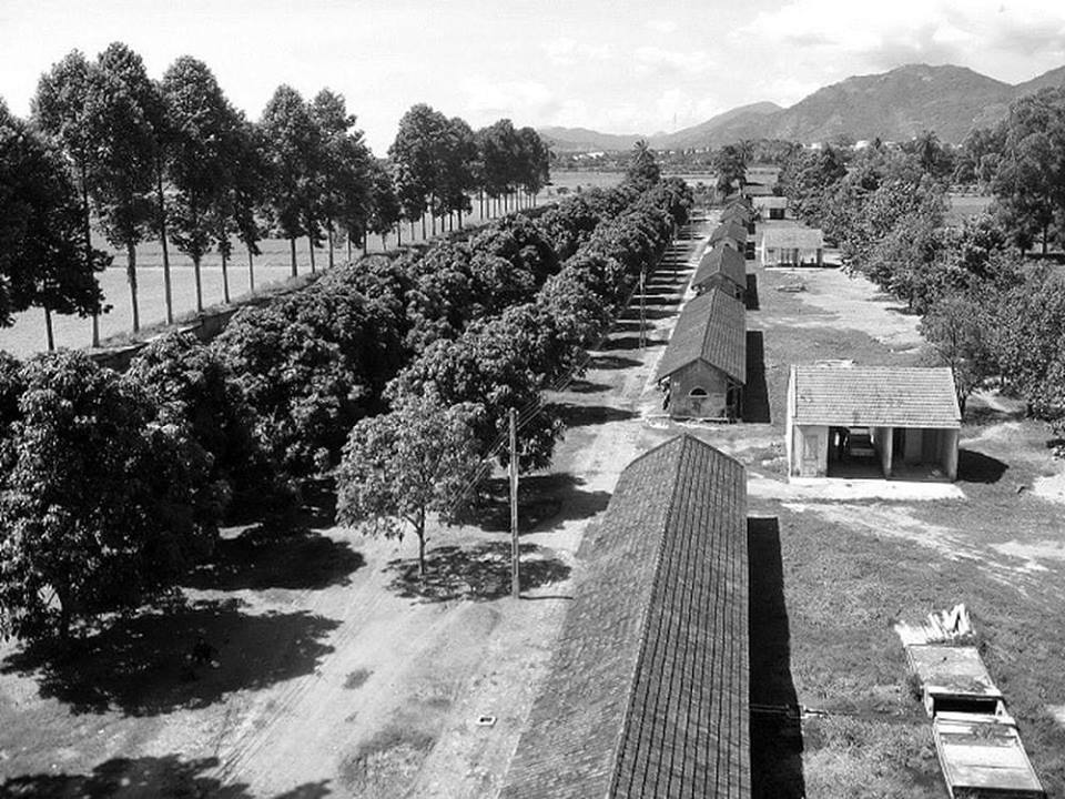 50330396_10215588049248654_8562888955303821312_n