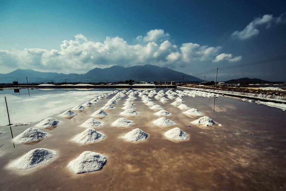 57882480_1940537669391694_2549353387015536640_o