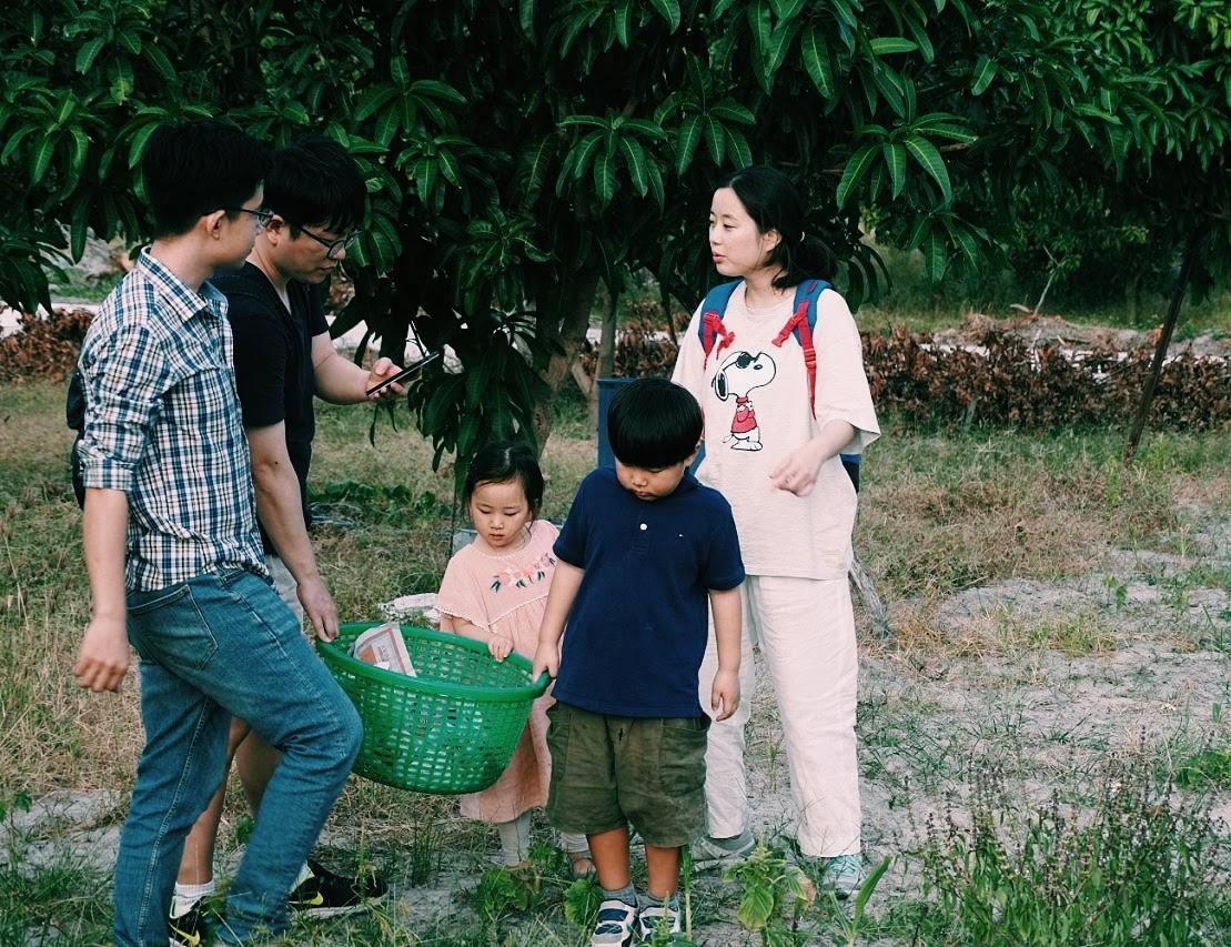 Du lịch vườn xoài Cam Lâm - Chạm Khánh Hoà