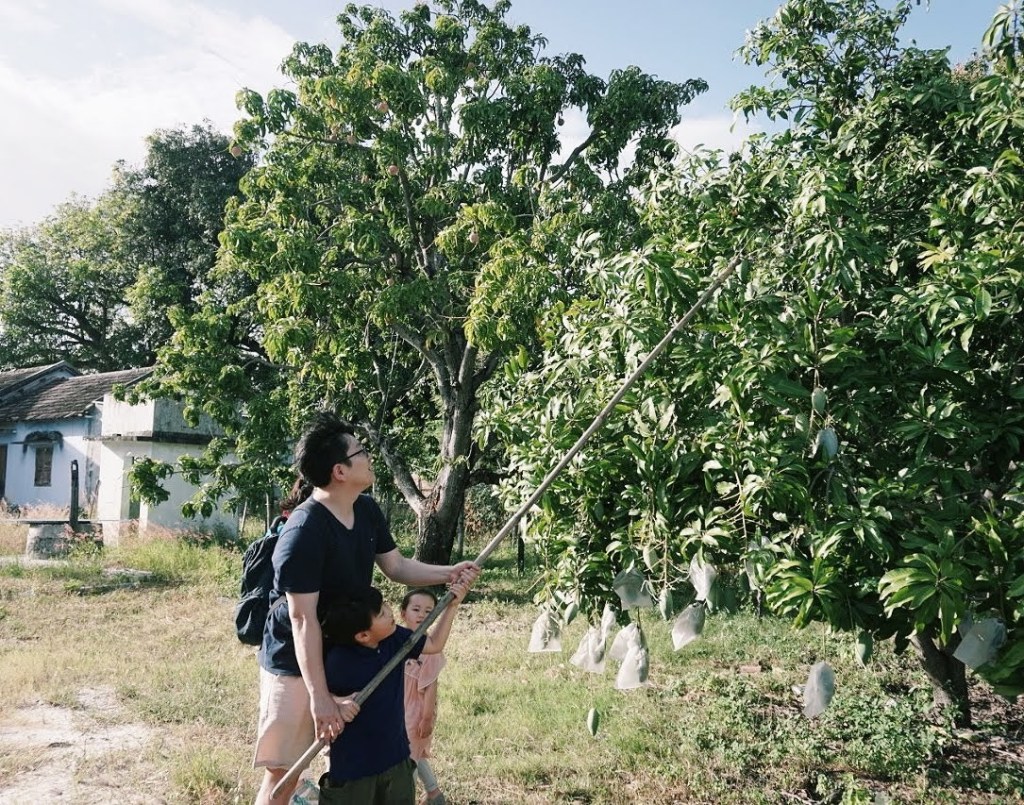 Du lịch vườn xoài Cam Lâm - Chạm Khánh Hoà