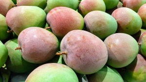 Xoài Úc Cam Lâm - SEAmangoes