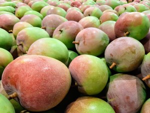 Xoài Úc Cam Lâm SEAmangoes - 0944 544 345