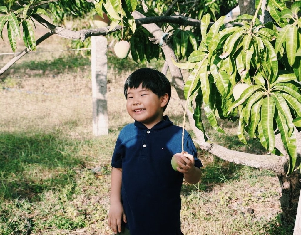 Du lịch vườn xoài Cam Lâm - Chạm Khánh Hoà