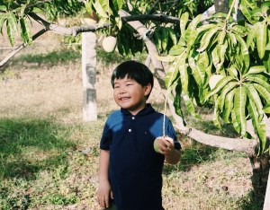 Du lịch vườn xoài Cam Lâm - Chạm Khánh Hoà