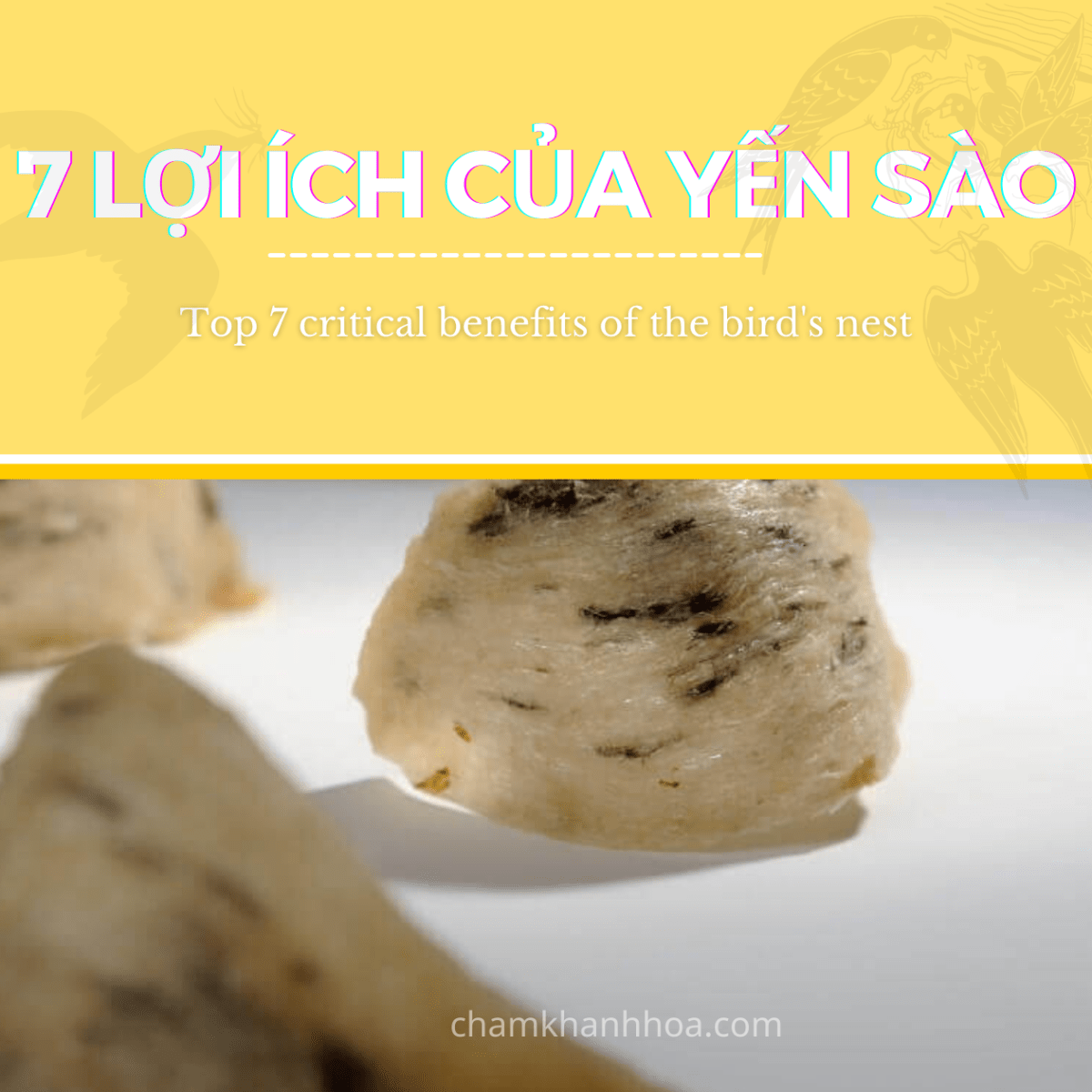 7 LỢI ÍCH CỦA YẾN&nbsp;SÀO