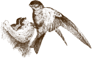 Gợi ý quà tặng Tết đơn giản mà ý nghĩa cho bạn bè, đối tác, người thân.