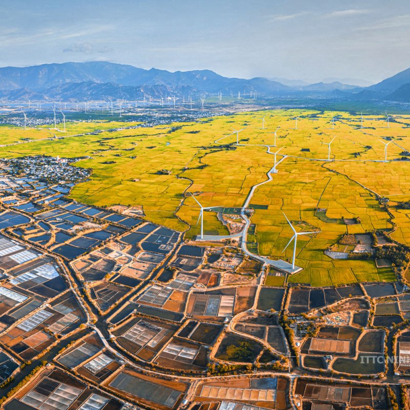 KHÁM PHÁ CÁNH ĐỒNG ĐIỆN GIÓ ĐẦM NẠI TẠI KHÁNH&nbsp;HÒA