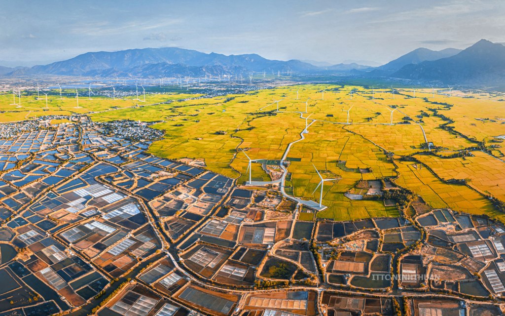 KHÁM PHÁ CÁNH ĐỒNG ĐIỆN GIÓ ĐẦM NẠI TẠI KHÁNH&nbsp;HÒA